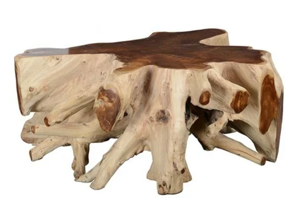 Cristina Organic Teak Root Coffee Table